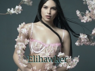 Elihawker