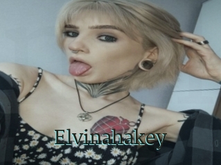 Elvinahakey