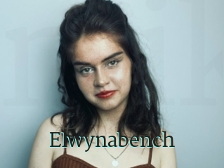 Elwynabench