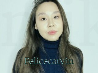 Felicecarvin