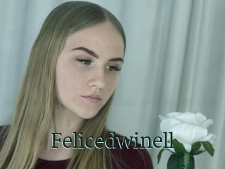 Felicedwinell