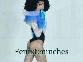 Fenixteninches