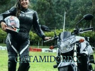 GATAMIDORIXX