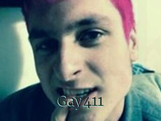 Gay411