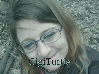 GigiTurtle