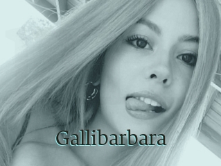 Gallibarbara