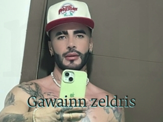 Gawainn_zeldris