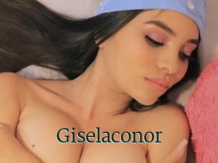 Giselaconor