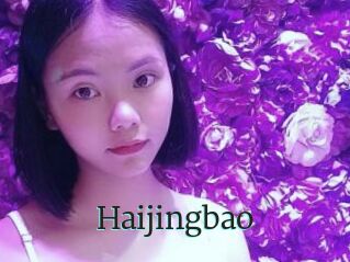 Haijingbao