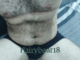 Hairybear18