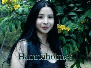 Hamnaholmes