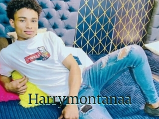 Harrymontanaa