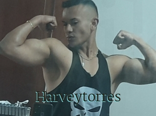 Harveytorres