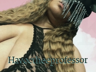 Havoctheeprofessor