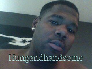 Hungandhandsome