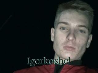 Igorkoshel
