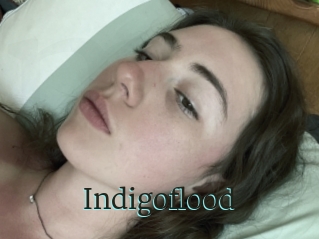 Indigoflood