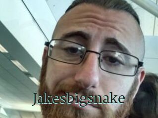 Jakesbigsnake