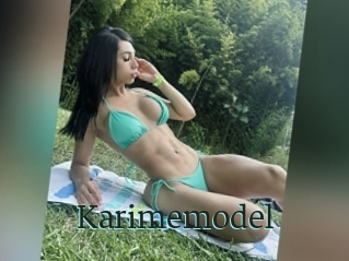 Karimemodel