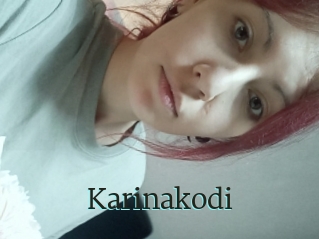 Karinakodi