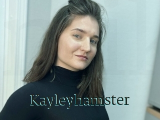 Kayleyhamster