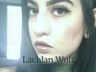 Lachlan_Wolf