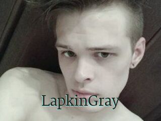 LapkinGray