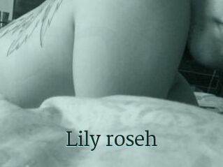 Lily_roseh
