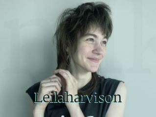 Leilaharvison