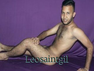 Leosaintgil