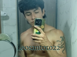 Leosantoro22