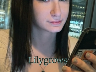 Lilygrows