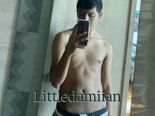 Littledamiian