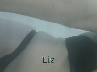 Liz