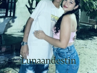 Lunaandestin