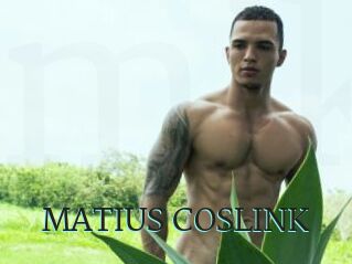 MATIUS_COSLINK