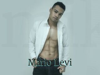 Mario_Levi
