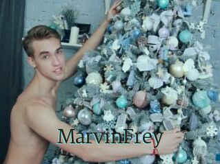 MarvinFrey
