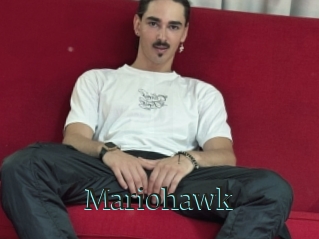 Mariohawk