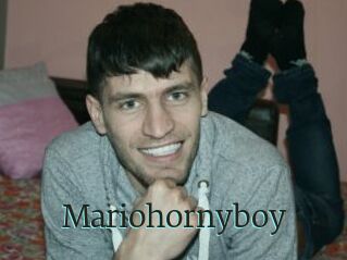 Mariohornyboy