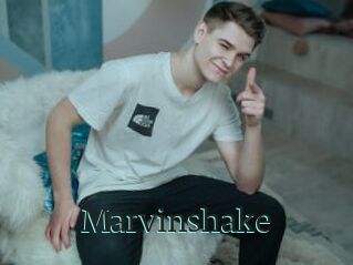 Marvinshake