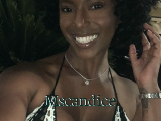 Mscandice
