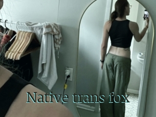 Native_trans_fox