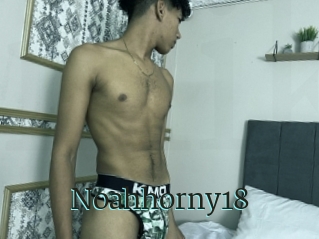 Noahhorny18