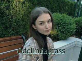 Odelindagrass
