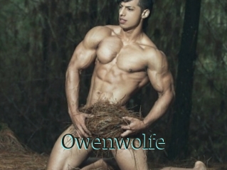 Owenwolfe