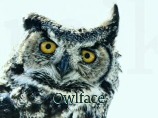 Owlface