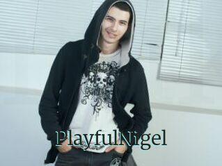 PlayfulNigel