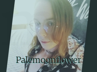 Palemoonflower