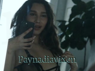 Paynadiavixen
